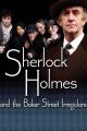 Sherlock Holmes and the Baker Street Irregulars (TV)