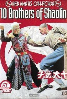 Los diez hermanos de Shaolin 
