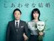 Their Marriage (Serie de TV)
