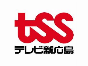 Shinhiroshima Telecasting