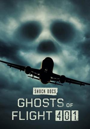 Los fantasmas del vuelo 401 (TV)