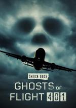 Shock Docs: Ghosts of Flight 401 (TV)