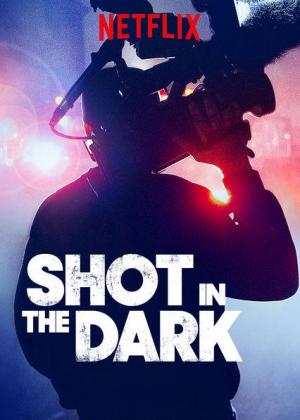 Shot in the Dark (TV Series)