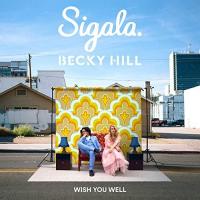 Sigala & Becky Hill: Wish You Well (Vídeo musical) - 