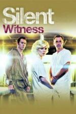Testigo silencioso (Serie de TV)