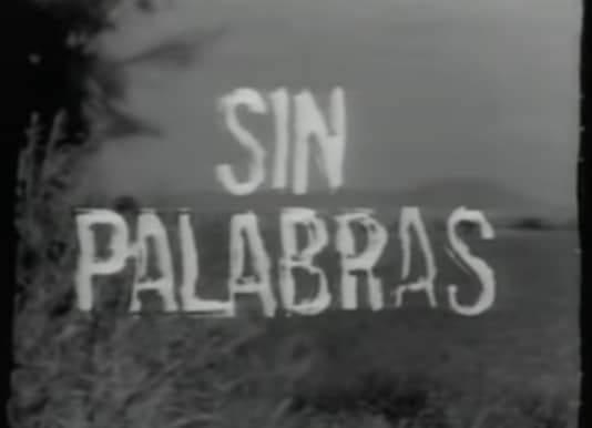 Sin palabras (TV Series)