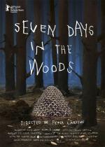 Seven Days in the Woods (C)