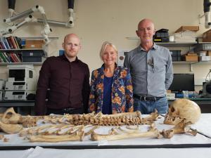 Los esqueletos del Mary Rose: nuevos hallazgos 