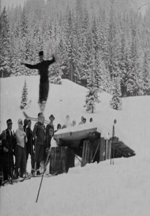 Ski Jumping in the Alps (C)