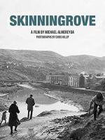 Skinningrove (C) - Poster / Imagen Principal