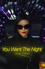 Sleep Thieves: You Want the Night (Vídeo musical)