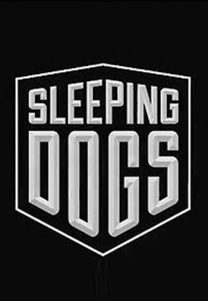Sleeping Dogs 