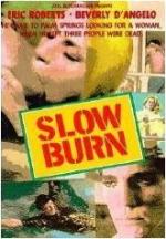 Lenta agonía (Slow Burn) (TV)
