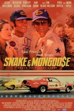 Snake and Mongoose 