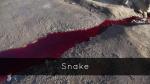 Snake (C)
