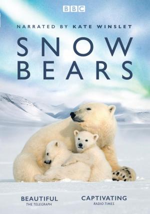 Snow Bears (TV)