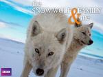 Snow Wolf Family and Me (Serie de TV)