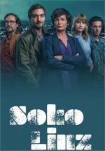 SOKO Linz (TV Series)
