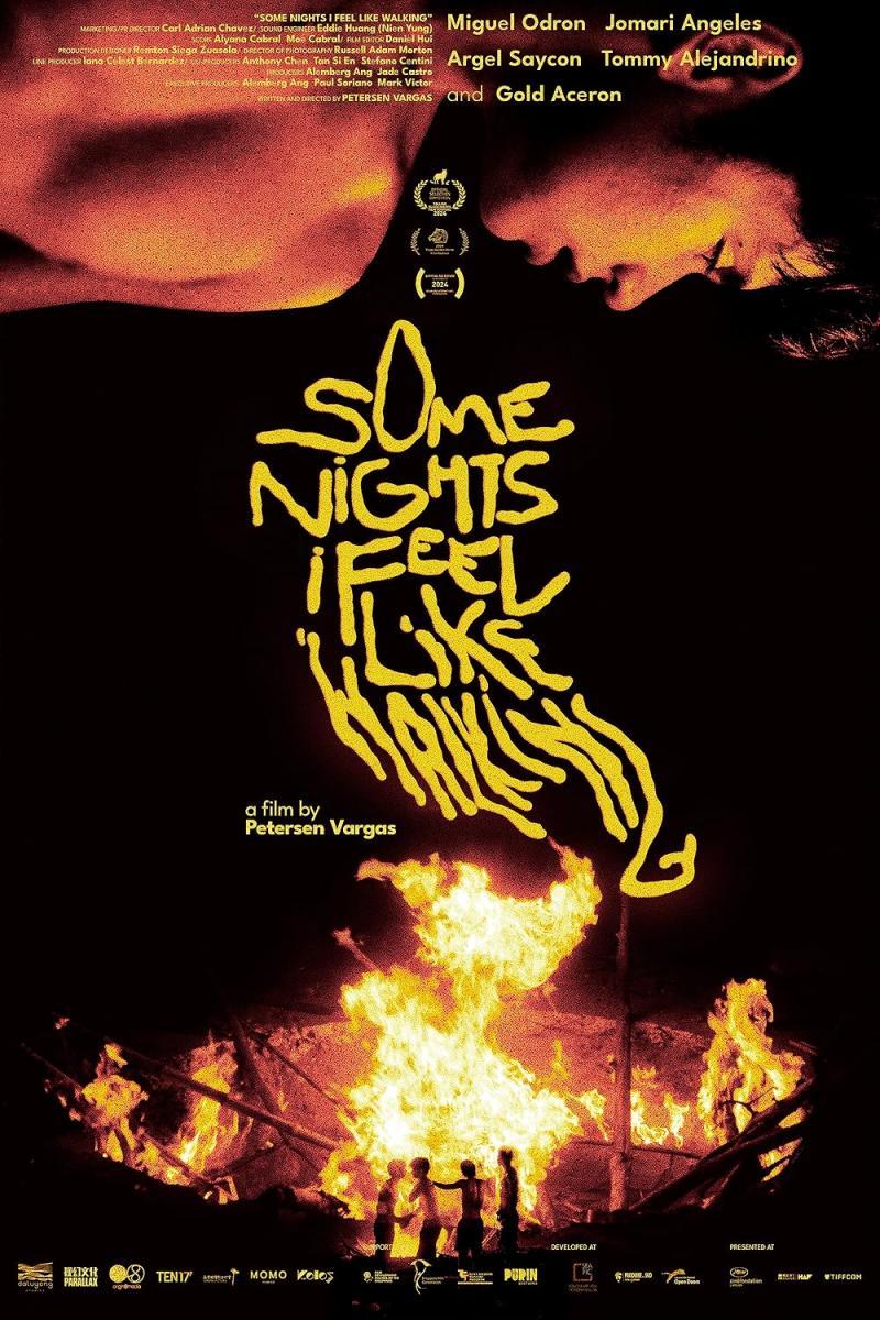Some Nights I Feel Like Walking (2024) FilmAffinity