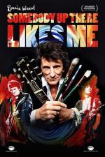 Ronnie Wood: Somebody Up There Likes Me 