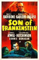 La sombra de Frankenstein  - Poster / Imagen Principal