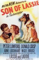 El hijo de Lassie  - Poster / Imagen Principal