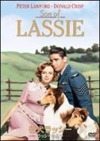 El hijo de Lassie  - Dvd