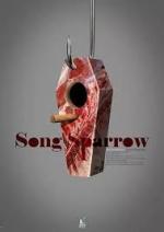Song Sparrow (C)