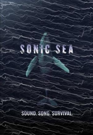Sonic Sea 
