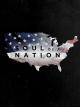 Soul of a Nation (TV Series)