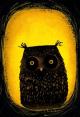 Tender Owls (C)