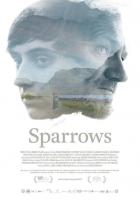 Sparrows  - Poster / Imagen Principal