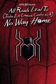 Spider-Man: All Roads Lead to No Way Home 