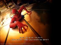 Spider-Man (Spiderman)  - Wallpapers