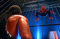 Spider-Man (Spiderman)  - Stills