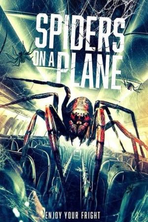 Spiders on a Plane 
