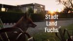 Stadt, Land, Fuchs! (TV)