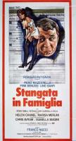 Stangata in famiglia  - Poster / Imagen Principal