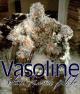 Stone Temple Pilots: Vasoline (Vídeo musical)