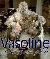 Stone Temple Pilots: Vasoline (Vídeo musical) - Poster / Imagen Principal