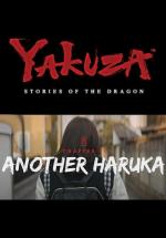 Stories of the Dragon - Chapter 2: Another Haruka (S)
