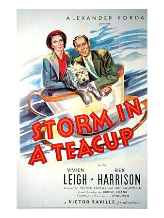 Storm in a Teacup  - Poster / Main Image