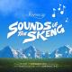 Stormzy: Sounds of the Skeng (Vídeo musical)