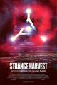 Strange Harvest 