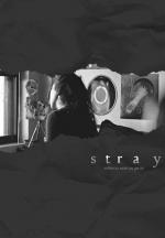 Stray (C)