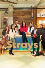 Strays (Serie de TV)