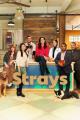 Strays (TV Series)