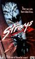 Strays (Killer Cats) (TV) (TV)