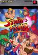 Street Fighter: The Animated Series (TV Series)