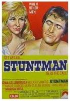 Stuntman  - Poster / Main Image